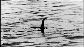 鯰魚
翻攝每日郵報
http://www.dailymail.co.uk/news/article-3162580/Loch-Ness-expert-believes-CATFISH.html