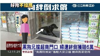 被黑狗絆倒　婦怒告超商求償49萬