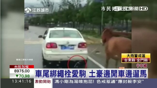土豪邊開車邊「遛馬」　後方車輛傻眼