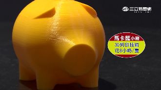 小英的祕密武器！新版「馬卡豬」曝光