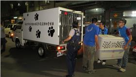 新北市動保處　圖／翻攝自《新北市動保處》官網