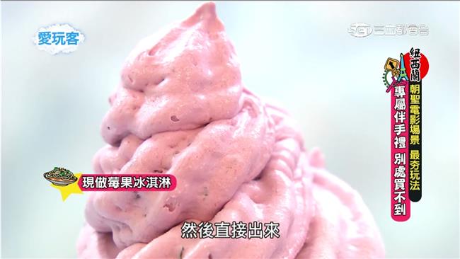 鮮醇沒得比！去紐西蘭必吃這種冰淇淋