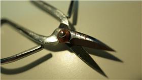 剪刀,兇器-翻攝自flickr-https://www.flickr.com/photos/qiaomeng/4236194393/in/photolist-7skB1n-6QqaY5-HRmAM-HRmtT-HRhh3-hgkJQ-hgkMt-5Ta8PG-fqkqTg-fqzF89-fqkpy8-fqzEks-fqkoMi-fqzDsS-fqzD6G-fqzCR9-fqkn4F-fqzBQ7-fqkmfa-fqzB53-fqzAoG-fqzzYJ-fqzyxC-fqki1p-fqzxxU-fqkhaX-fqzwFU-fqzvr1-fqkeUM-fqzuqw-fqzu3E-fqkdFP-fqztgN-fqzsBj-fqzsku-fqzs5S-fqkbxV-fqzr4j-fqzqvW-fqkacn-fqk9qX-fqzp65-fqzoPQ-fqzoyQ-fqzobY-fqznXJ-fqk7tD-fqzmRC-fqk6zM-fqzm1Q