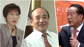 洪秀柱、王金平、宋楚瑜（合成圖／洪秀柱臉書、資料照）