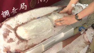 逾14億日幣！3尾鮪魚肚藏毒品