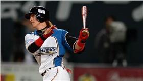 陽岱鋼（圖／翻攝自火腿官網）