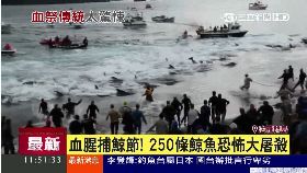 a北海大屠殺1200
