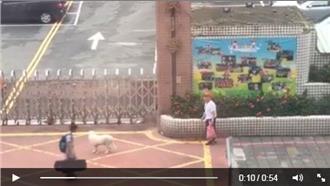 慢慢走，我陪你！老人與狗的感人故事