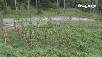 大衛營藏沉香園　劉政池姊看守戒備嚴