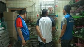 非法寵物繁殖場　圖／翻攝自《新北市動保處》官網