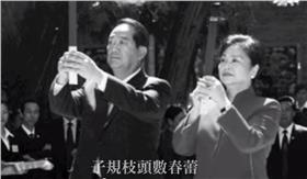 宋楚瑜,陳萬水,忌日,賢內助,總統▲圖／翻攝自youtube影片