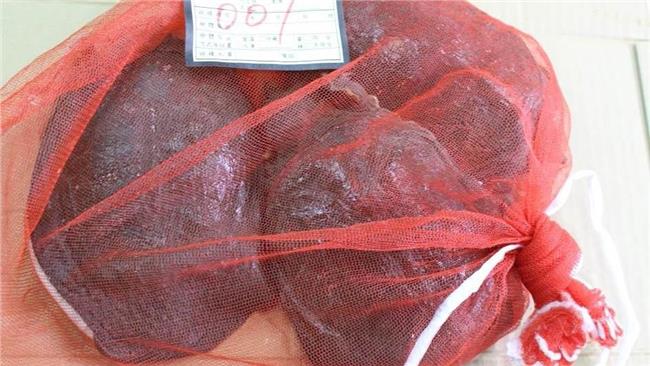 甲魚驗出致癌禁藥　點水樓：早已停售