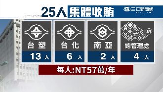 疑承包商子不滿父外遇　怒揭台塑收賄