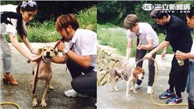 《超聯萌女神2：終極高校》─ 探訪流浪動物收容所