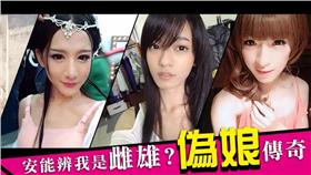 偽娘-網路溫度計