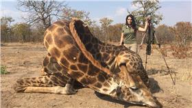 獵人 圖/寇嘉特利臉書