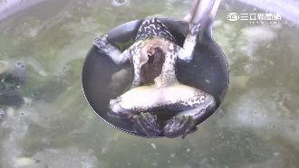 台灣最噁爛食物　外國人一致選這個