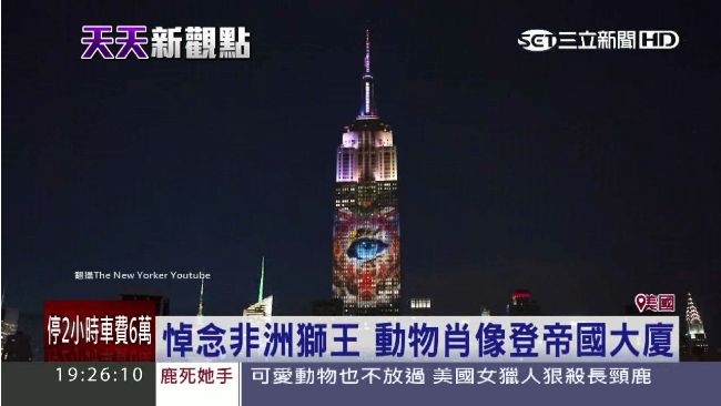 悼念獅王　帝國大廈投影這個驚艷夜空