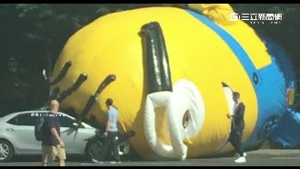 小小兵又來搗蛋了？愛爾蘭交通大亂