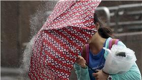 颱風,大雨,暴雨,傘-（圖／達志影像／路透社）