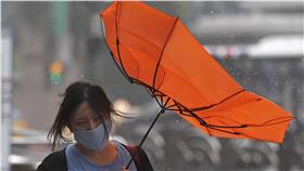 颱風,大雨,暴雨,傘-（圖／達志影像／路透社）