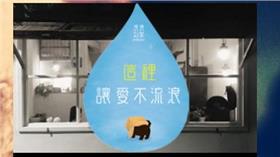 浪浪別哭　圖／翻攝自《浪浪別哭》官網