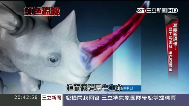 保育組織防盜獵　犀牛角注入「毒藥」