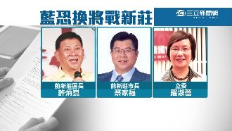 李鴻鈞退選　傳國民黨點名羅淑蕾接棒