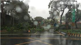 蘇迪勒.颱風.倒塌.災情（圖／王怡翔攝）