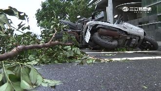 颱風險是啥？汽機車毀僅一成獲理賠