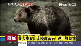 黃石熊殺人g1200