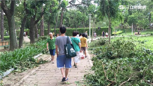 北市逾6千顆倒樹　20天恐怕清不完