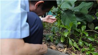 勘災行程　馬英九竟要幫農作「復健」