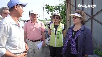 全台蕉農損上億　陳菊懂他們的痛