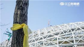 大巨蛋,護樹,遠雄,趙藤雄,世大運 (林敬旻攝) 