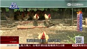 土窯雞／食尚生活家