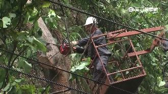 台電高空忙搶修　民眾嫌慢砸石頭抗議