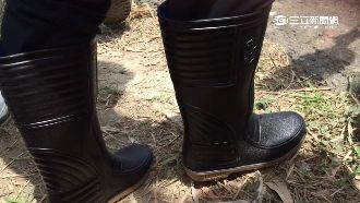 小英桃園探災民　換穿「MIT」雨鞋