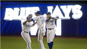 藍鳥（圖／美聯社／達志影像）