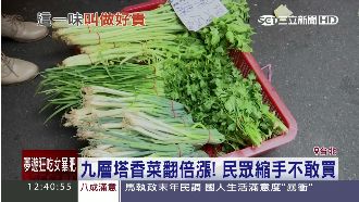 颱風過後菜價翻倍漲　婆媽嘆買不下手