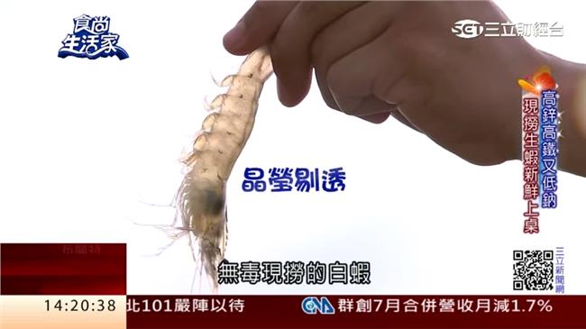 吃中藥長大的蝦！生態養殖天然無毒