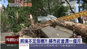 柯郝比清樹G1800