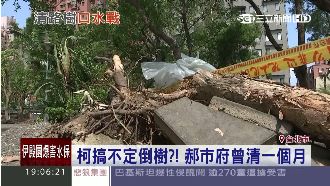 柯P清樹效率差？郝市府曾清一個月咧