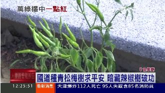 車禍不斷　國道警議論：小辣椒壞風水