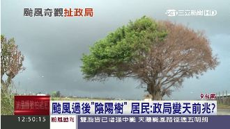 台南驚見陰陽樹　民稱政局變天的前兆