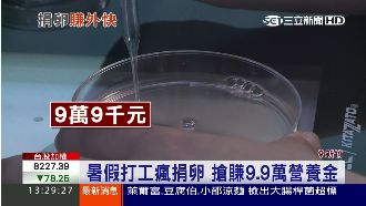 美眉揪團捐卵子　捐一次賺9萬9