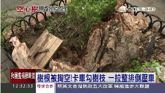 比颱風還狠？卡車勾樹枝　整排車遭殃