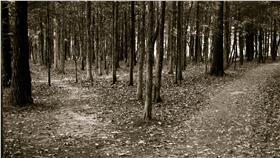 0817小編真心話
圖／攝影者Ryan Schultz,Flickr CC License