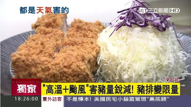 全台鬧豬荒！高溫＋颱風　豬排變限量