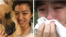 米可白（米可白臉書、米可白臉書直播截圖）